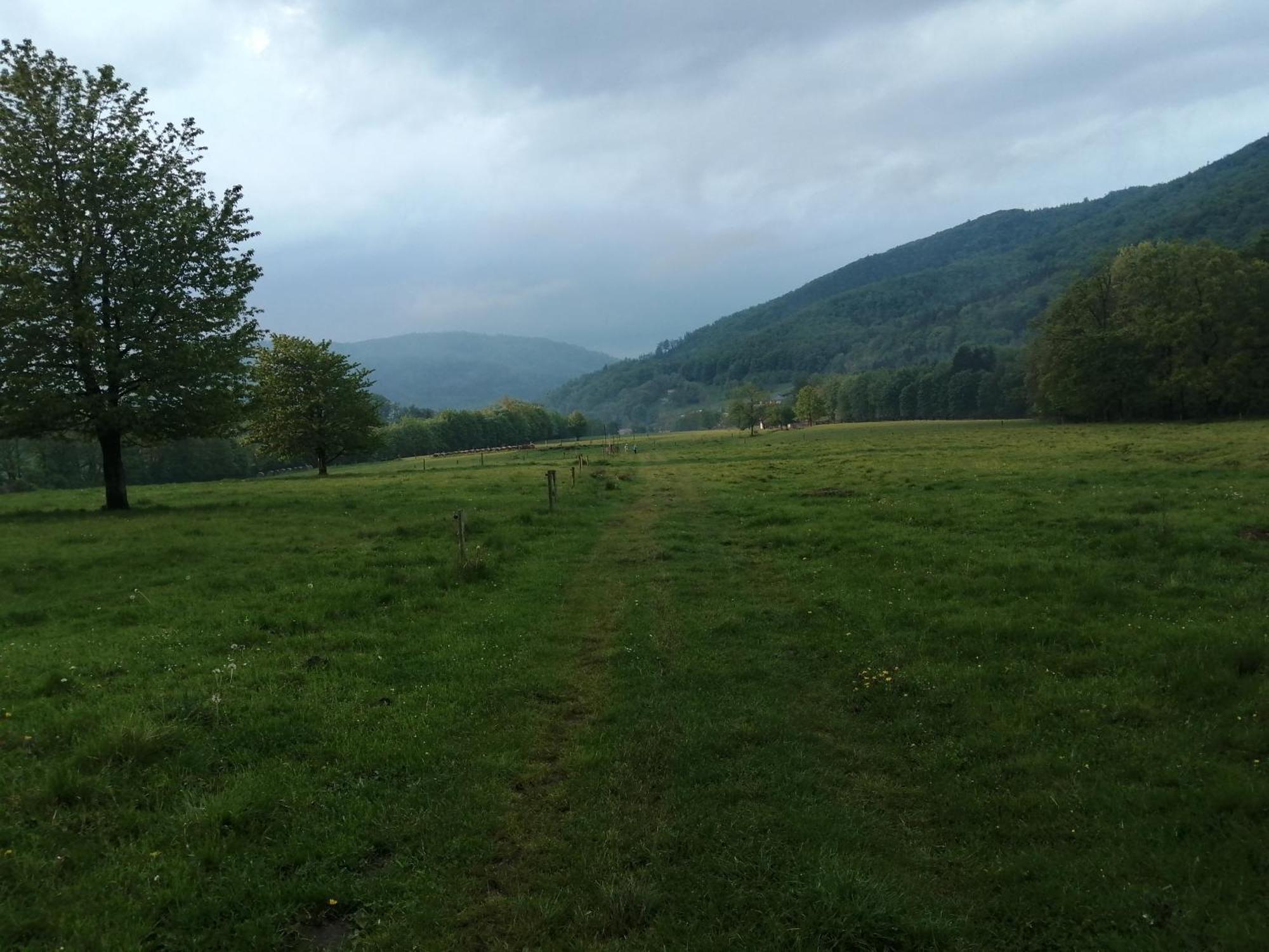 Domek W Gorach Sowich Pieszyce Buitenkant foto