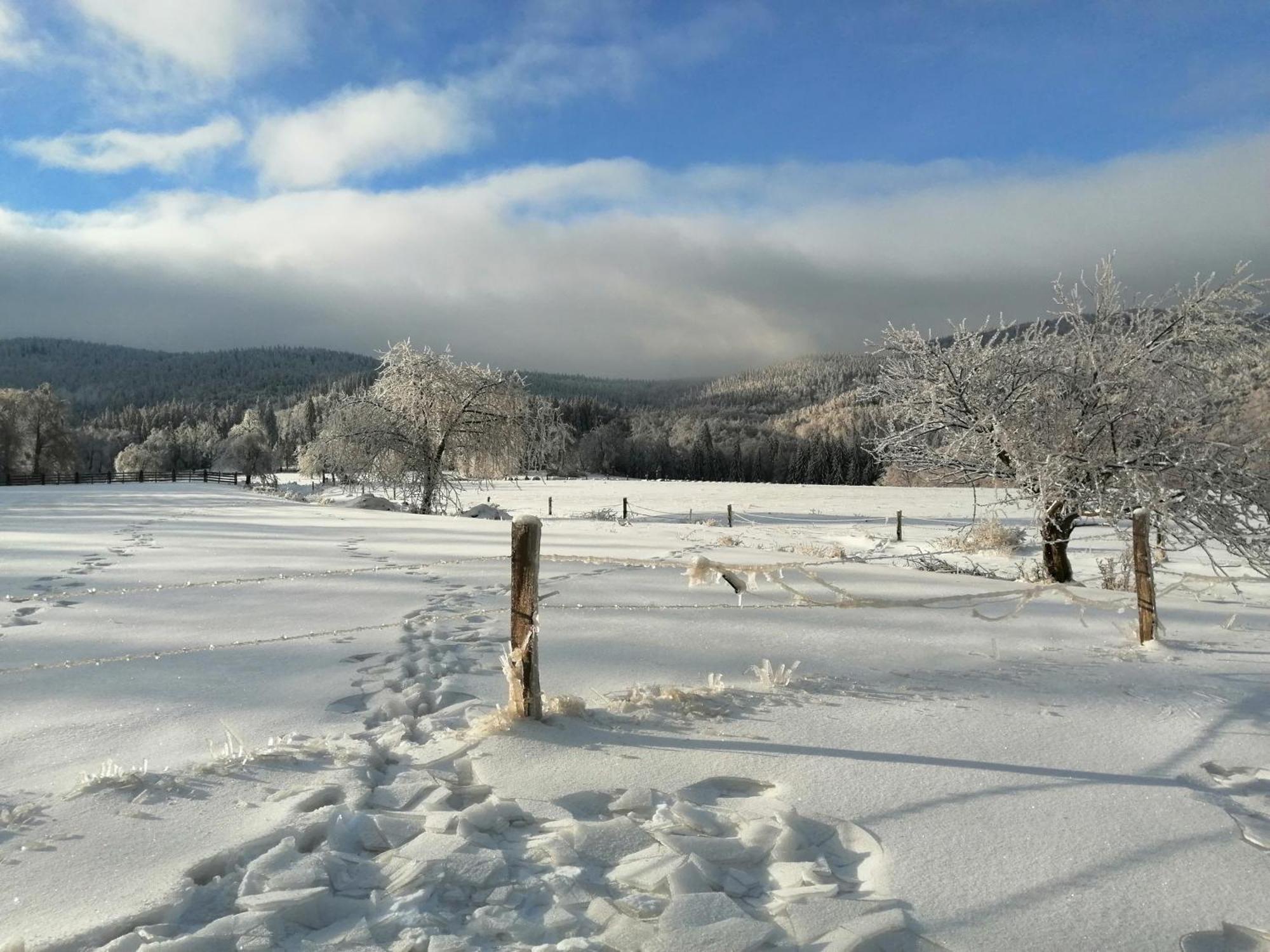 Domek W Gorach Sowich Pieszyce Buitenkant foto